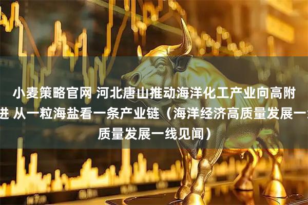 小麦策略官网 河北唐山推动海洋化工产业向高附加值迈进 从一粒海盐看一条产业链（海洋经济高质量发展一线见闻）